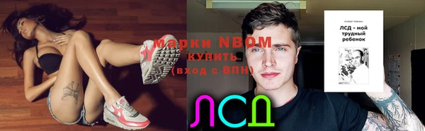 ГАЛЛЮЦИНОГЕННЫЕ ГРИБЫ Кодинск