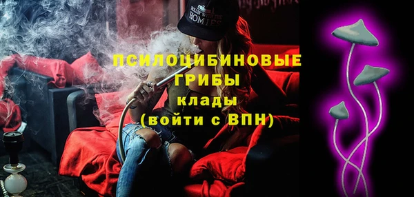 ГАЛЛЮЦИНОГЕННЫЕ ГРИБЫ Кодинск